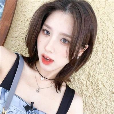 金龟子